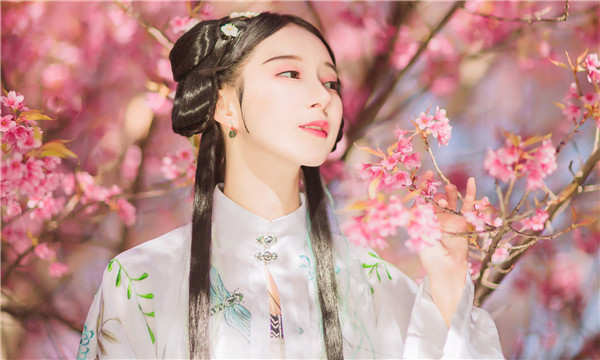 张金镇试管助孕什么意思｜试管助孕的步骤